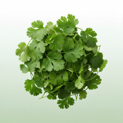 Organic Parsley Leaf