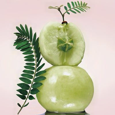 Amla Extract