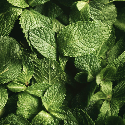 Organic Peppermint Leaf